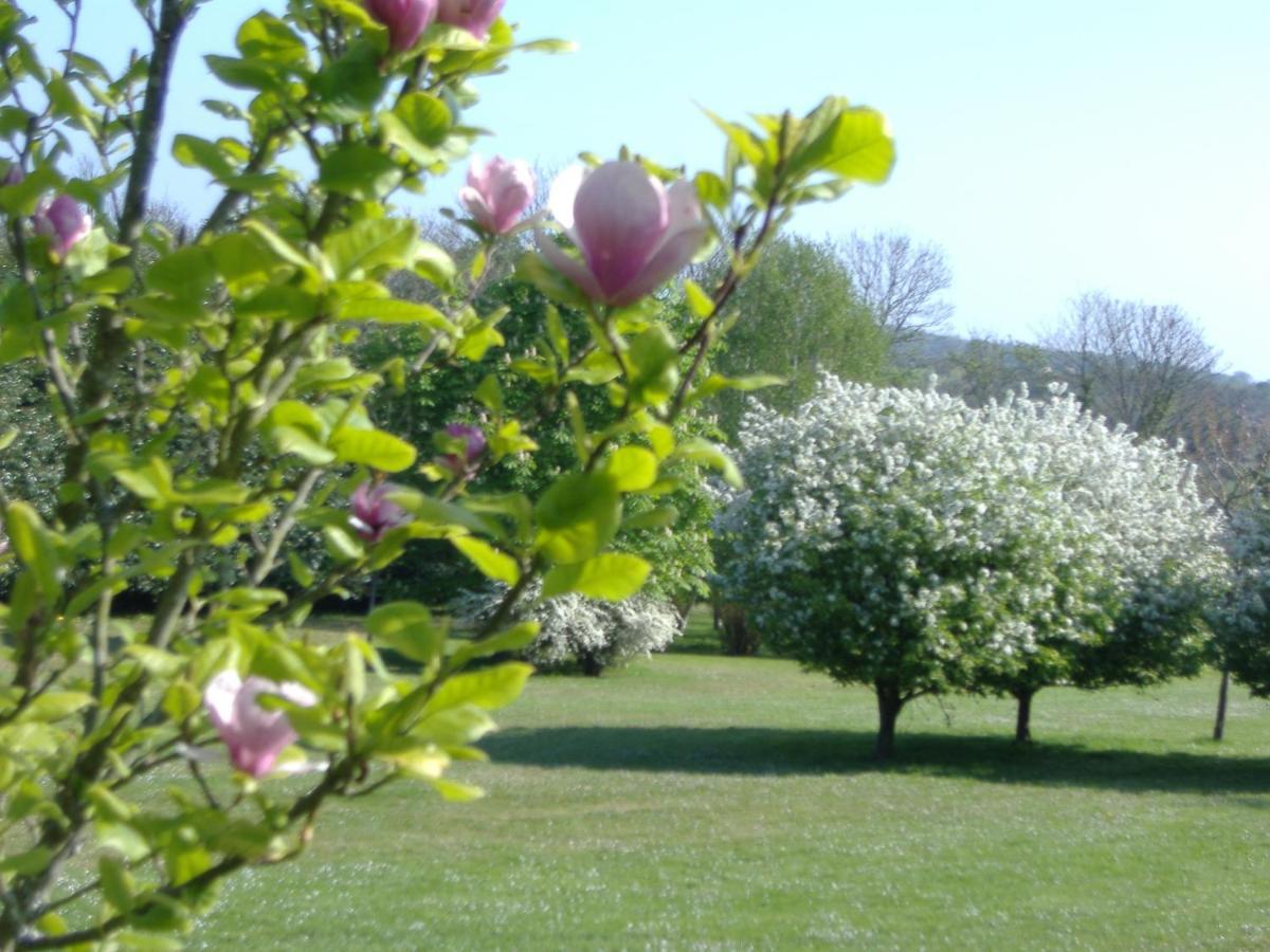 Gites Du Manoir De Goandour Крозон Екстериор снимка